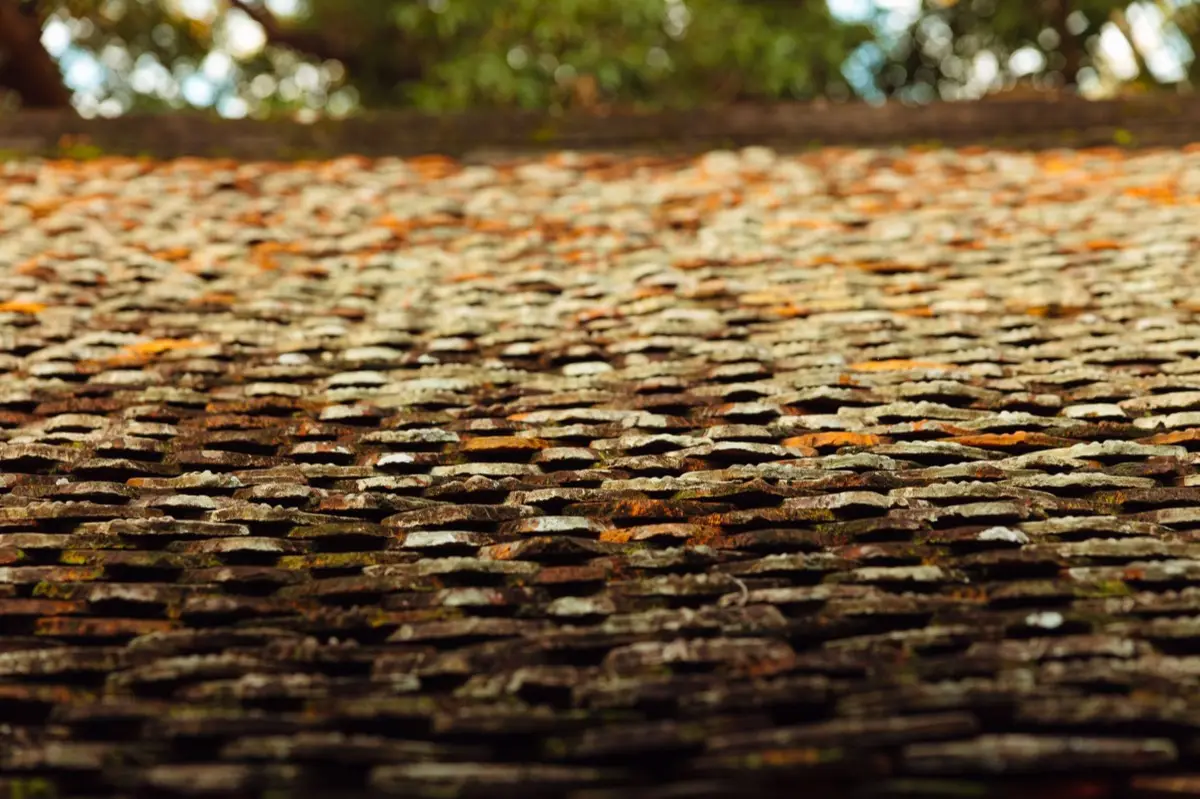 Aging shingle roof with moss growth and granule loss in San Angelo, TX